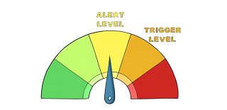 Courses | BIR Video Courses