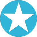 Section Icon