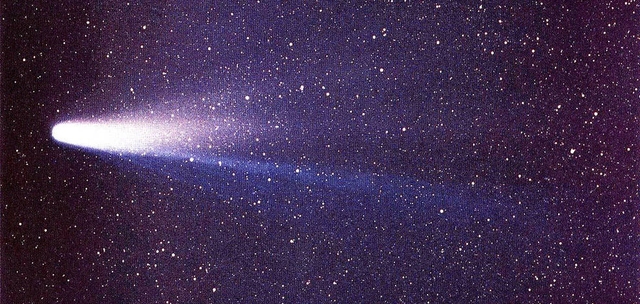 Halley's Comet 