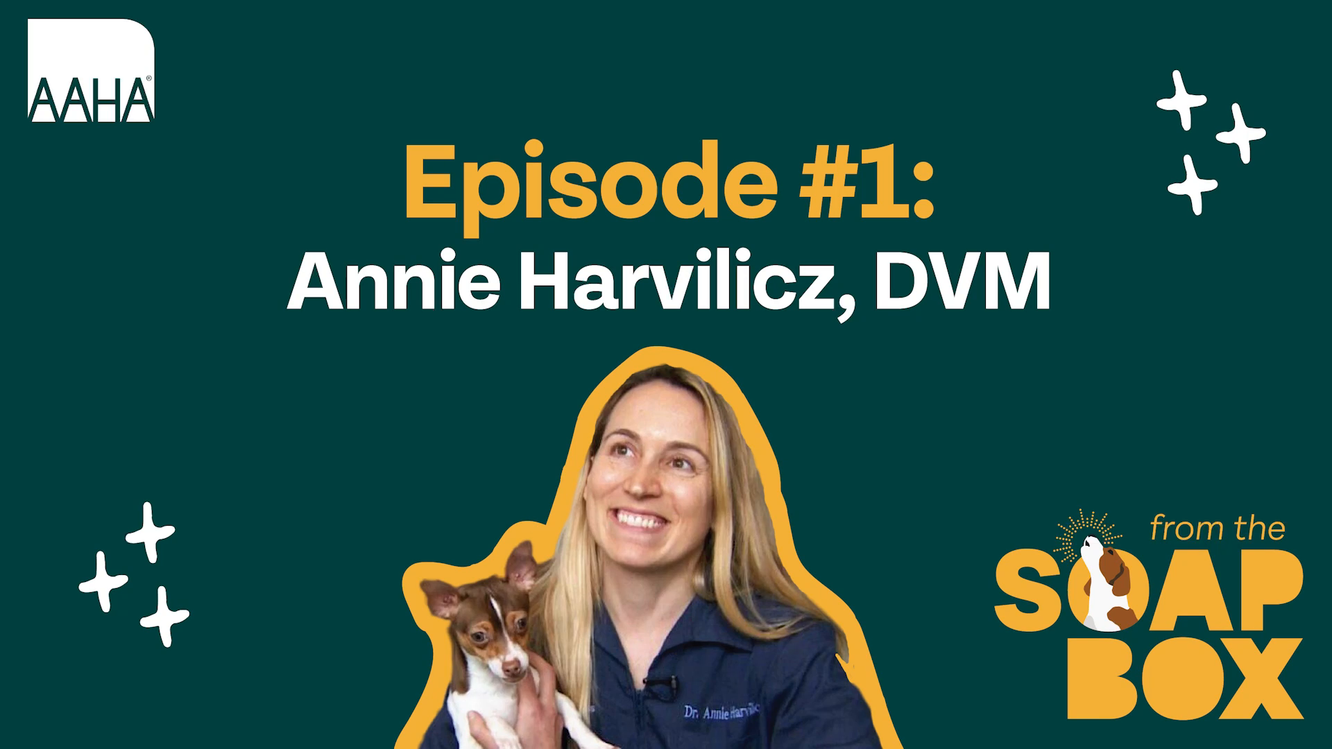 video-library-american-animal-hospital-association