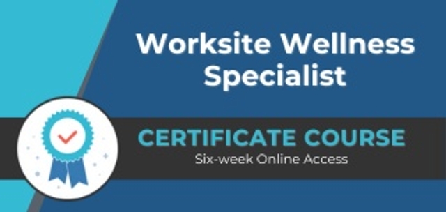 Online Certification Courses - New Courses added!