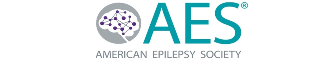 American Epilepsy Society educational resources