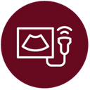 Live Web Event Icon